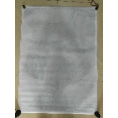作假阪南大学毕业证